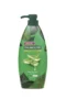 Dầu Gội & Xả Palmolive Chiết Xuất Nha Đam – 600ml